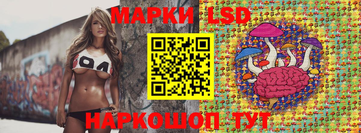 Наркотические марки 1500мкг  Наркотические марки 1500мкг  Нефтекумск  Вход с VPN 