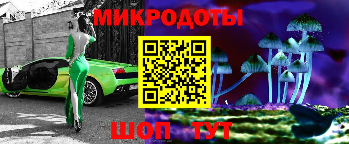 Галлюциногенные грибы Psilocybe  Вход с VPN  Нефтекумск  Галлюциногенные грибы мухоморы 